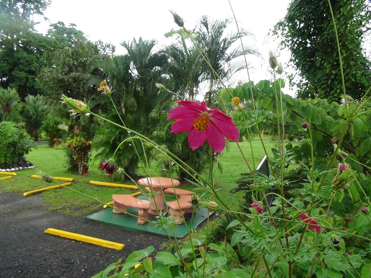 Hotel Vista Al Tortuguero Cariari  객실 사진